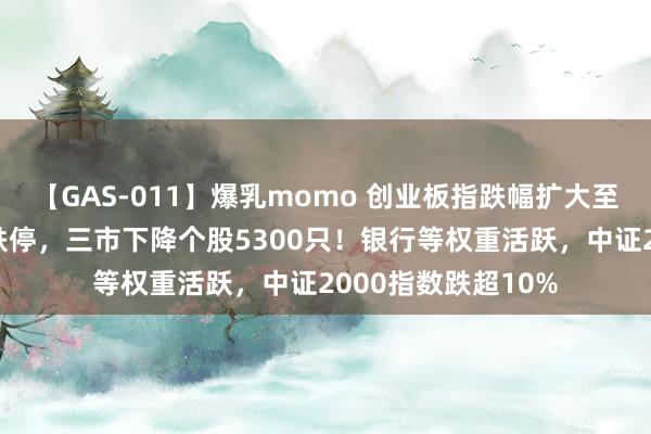 【GAS-011】爆乳momo 创业板指跌幅扩大至3%，两市超千股跌停，三市下降个股5300只！银行等权重活跃，中证2000指数跌超10%