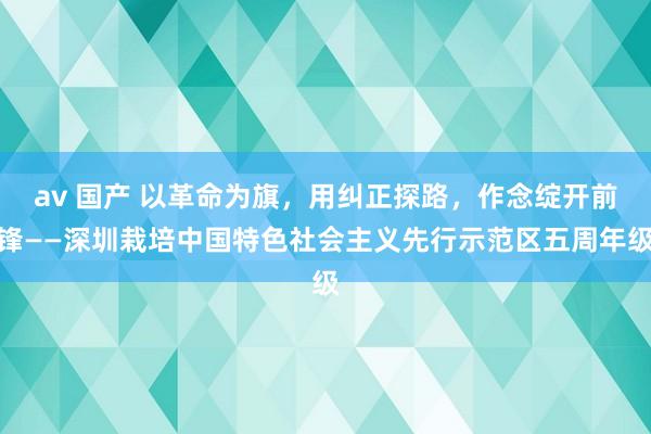 av 国产 以革命为旗，用纠正探路，作念绽开前锋——深圳栽培中国特色社会主义先行示范区五周年级