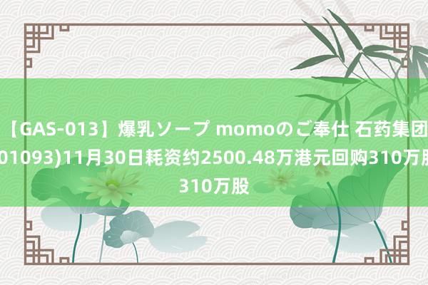 【GAS-013】爆乳ソープ momoのご奉仕 石药集团(01093)11月30日耗资约2500.48万港元回购310万股