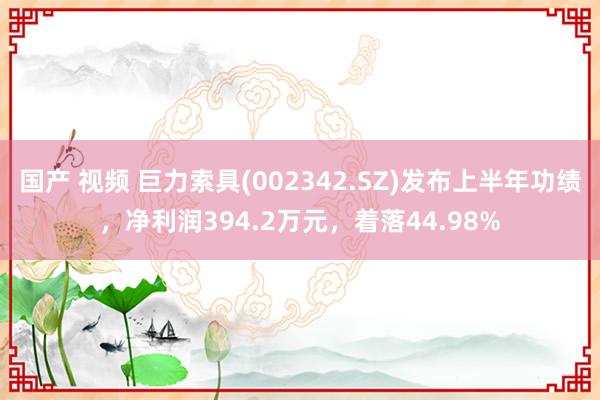 国产 视频 巨力索具(002342.SZ)发布上半年功绩，净利润394.2万元，着落44.98%