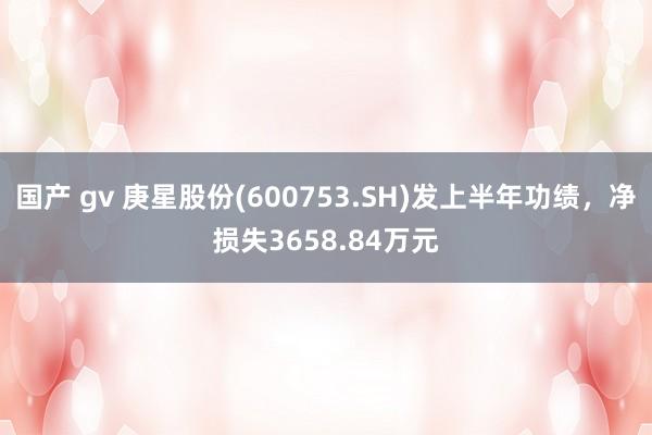 国产 gv 庚星股份(600753.SH)发上半年功绩，净损失3658.84万元