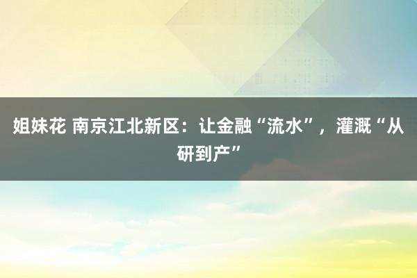 姐妹花 南京江北新区：让金融“流水”，灌溉“从研到产”